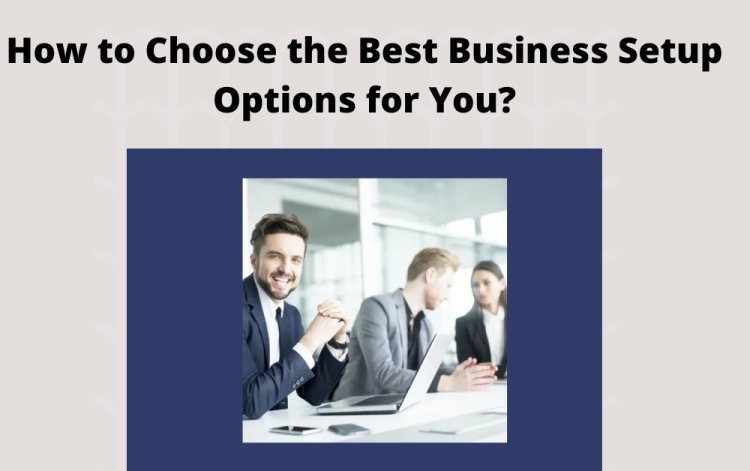 How to Choose the Best Business Setup Options for You?