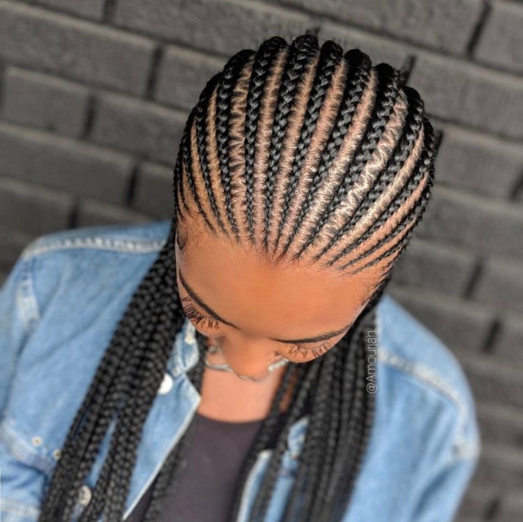 Braid Wigs: A Stylish Alternative to Traditional Braids